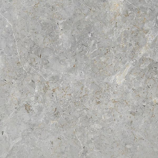 Bodenfliese Feinsteinzeug Grau 60 cm x 60 cm günstig online kaufen