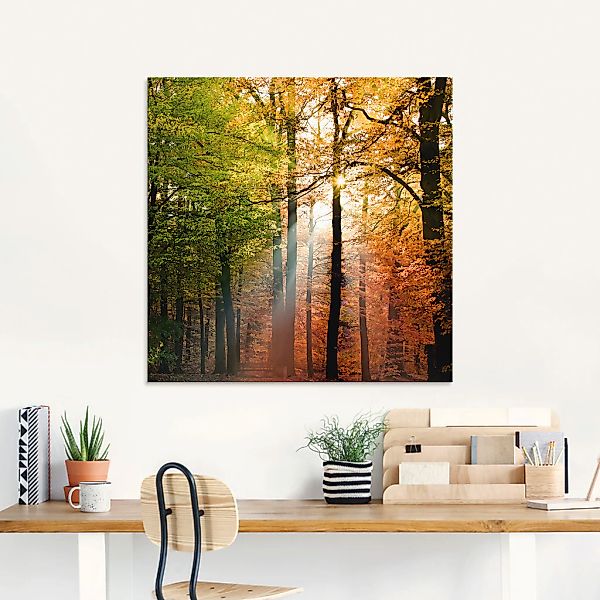 Artland Glasbild »Schöner Herbsttag 2«, Wald, (1 St.), in verschiedenen Grö günstig online kaufen