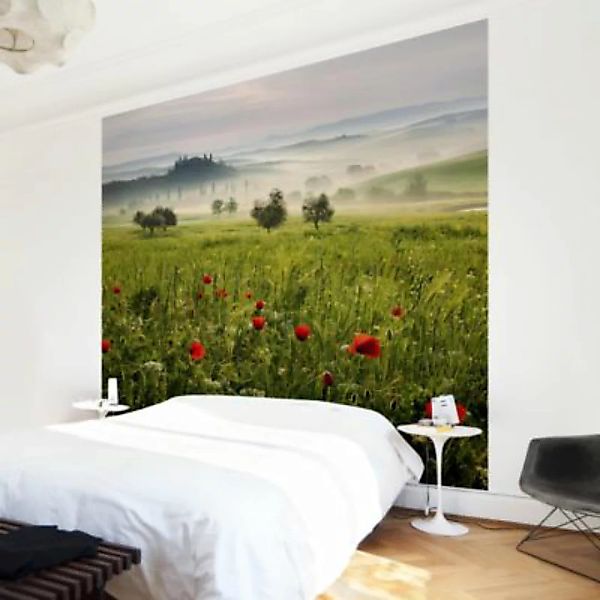 Bilderwelten Blumentapete Toskana Frühling grün Gr. 480 x 320 günstig online kaufen