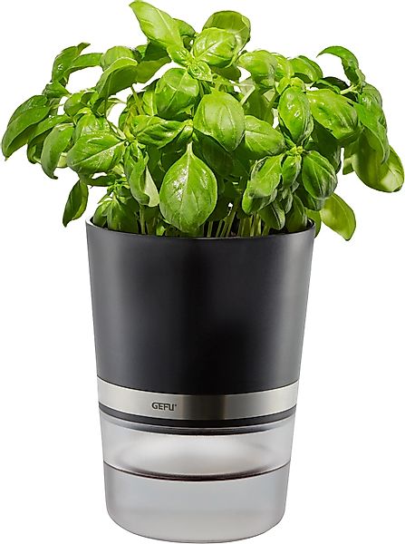 GEFU Kräutertopf Botanico, mit Bewässerungssystem günstig online kaufen