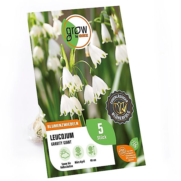 GROW by OBI Leucojum Gravity Giant Weiß 5 Stück Leucojum aestivum günstig online kaufen