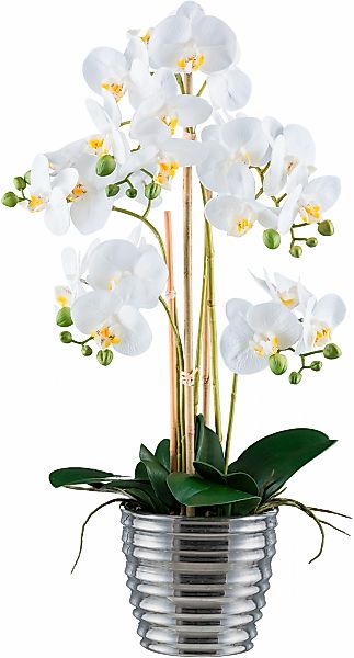 Creativ green Kunstorchidee "Orchidee Phalaenopsis", mit silberfarbenem Ker günstig online kaufen