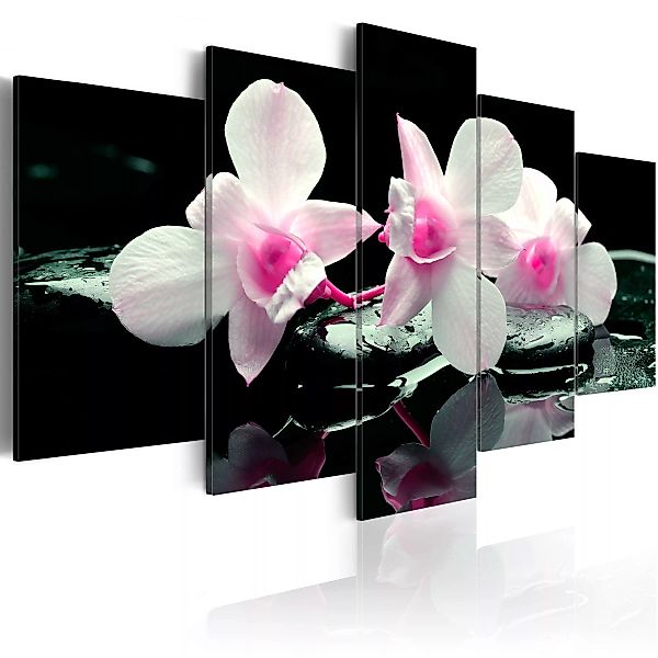 Wandbild - Rest of orchids günstig online kaufen