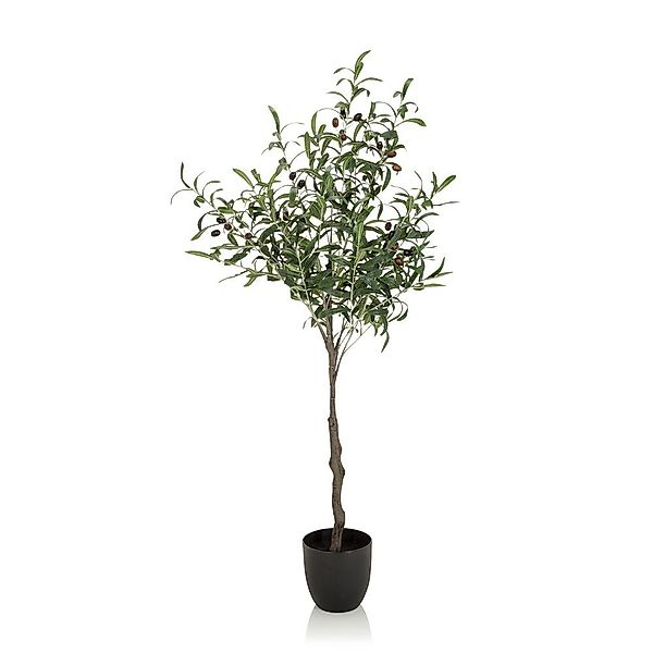 Kunstpflanze Kunstpflanze OLIVE Kunststoff Olive, hjh günstig online kaufen