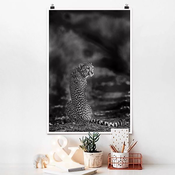 Poster Tiere - Hochformat Gepard in der Wildness günstig online kaufen