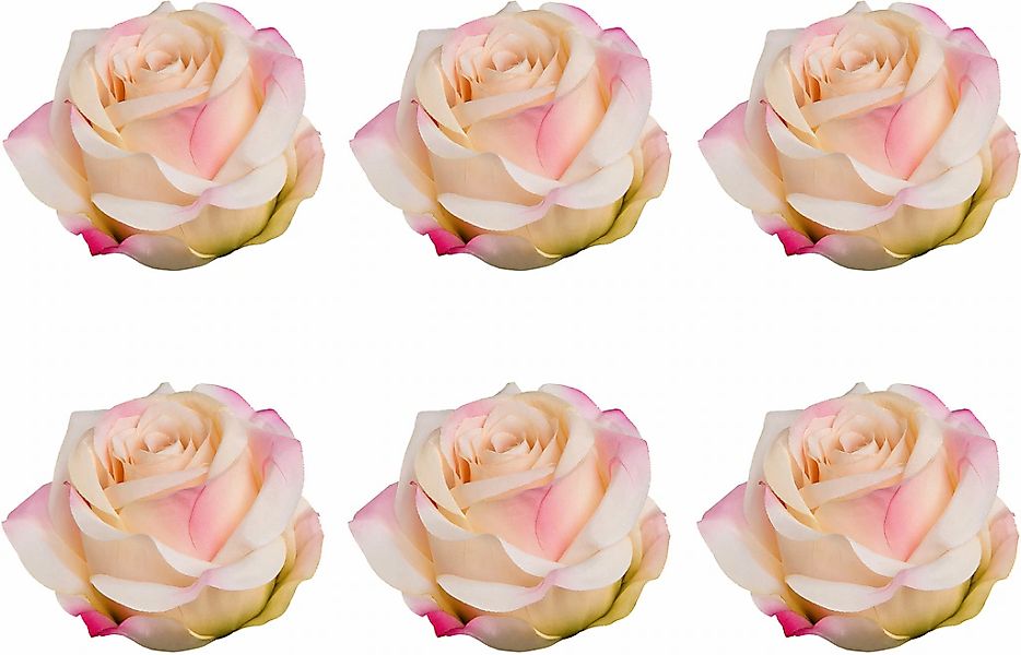 Creativ green Kunstblume "Rose mit Clip", im 6er Set günstig online kaufen