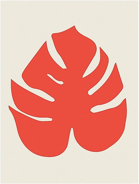 Komar Bild "Winter Tropics Black Panther Monstera" Tiere 1 Stk. tlg. Wandbi günstig online kaufen