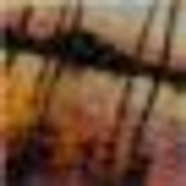 KiNZLER Bettwäsche "Bio Baumwoll Renforce Bettwäsche "Palmen"" 2 Stk. tlg. günstig online kaufen