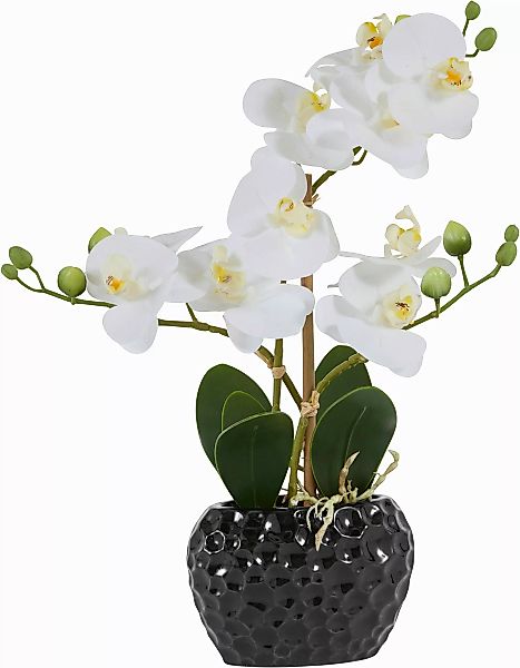 Leonique Kunstpflanze "Orchidee", Kunstorchidee, im Topf, Bestseller, über günstig online kaufen