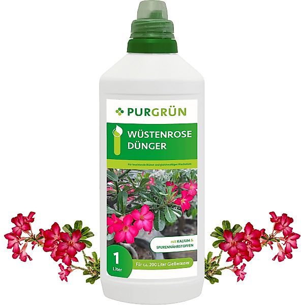 Purgrün Pflanzendünger Purgrün Wüstenrose Dünger, NPK günstig online kaufen