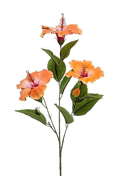 Kunstblume Orange, Durchmesser 13 cm, Emerald, günstig online kaufen