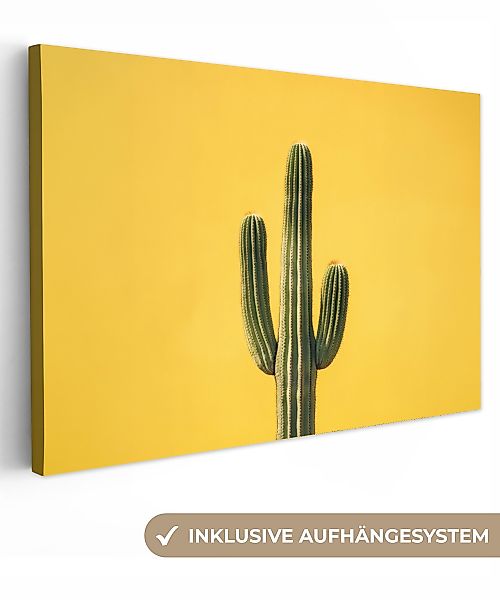 OneMillionCanvasses® Leinwandbild Kaktus - Grün - günstig online kaufen