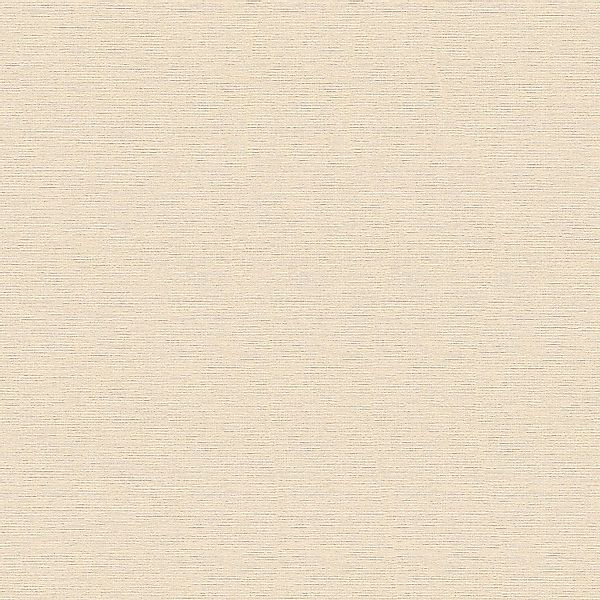 PROFHOME 306896-GU Ton-in-Ton Tapete Uni Matt Creme 0,53 m x 10,05 m 5,33 m günstig online kaufen