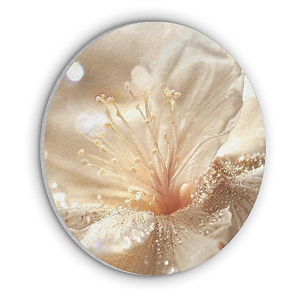 MuchoWow Gemälde Blume - Weiß - günstig online kaufen