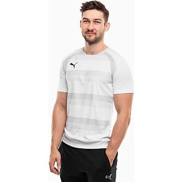 Puma  T-Shirt Teamvision günstig online kaufen