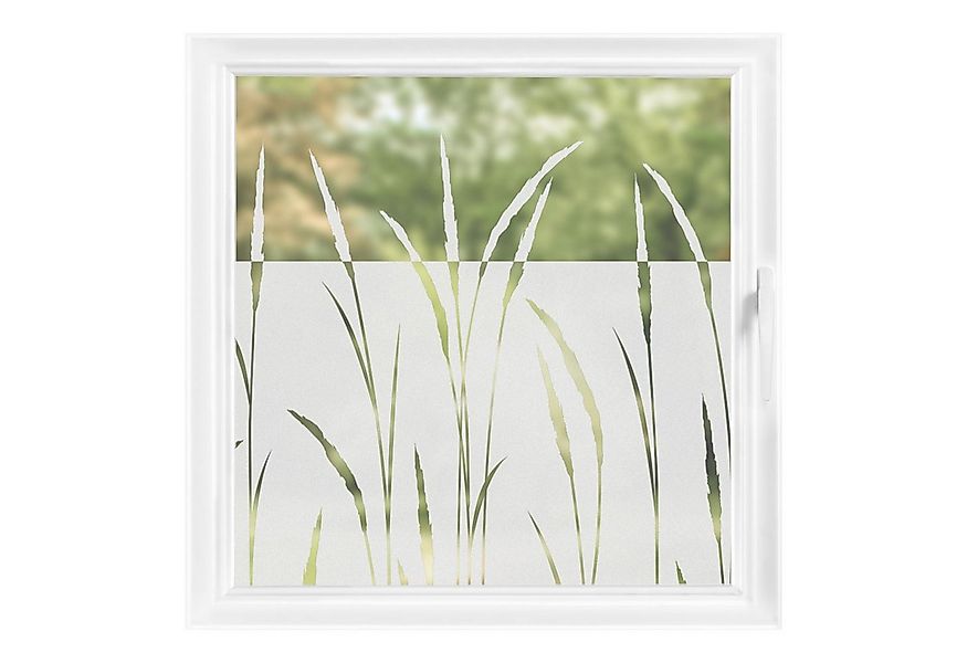 Bilderdepot24 Fensterfolie statisch haftend Motiv Fensterdeko Schilf Gräser günstig online kaufen