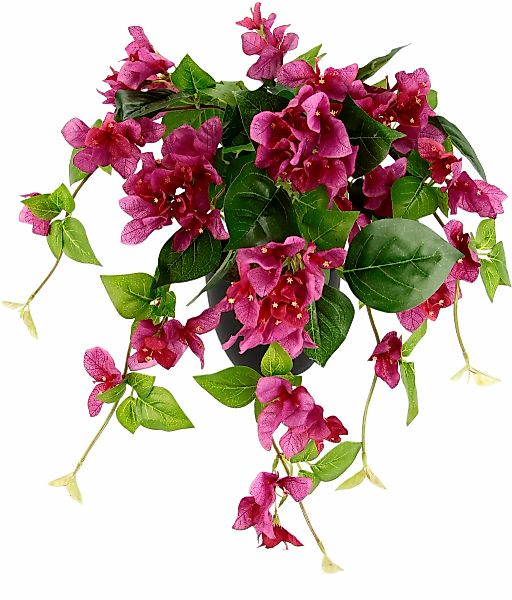 I.GE.A. Kunstpflanze "Bougainvillea" im Kunststofftopf günstig online kaufen