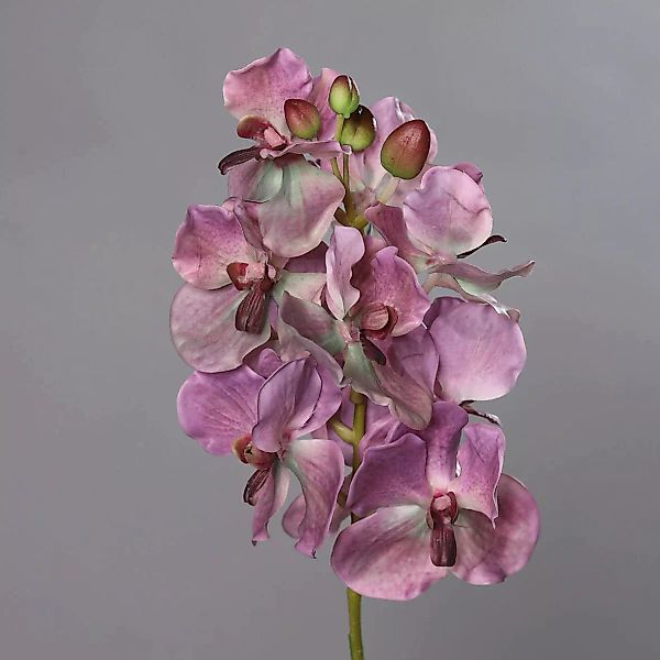 Kunstblume Orchidee-Vanda lila 74cm günstig online kaufen