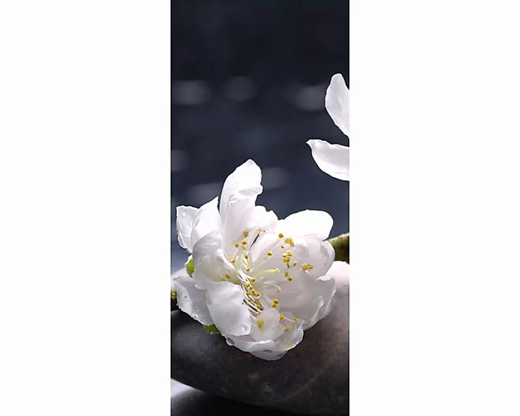 Trtapete "Blume aufStein" 0,91x2,11 m / selbstklebende Folie günstig online kaufen