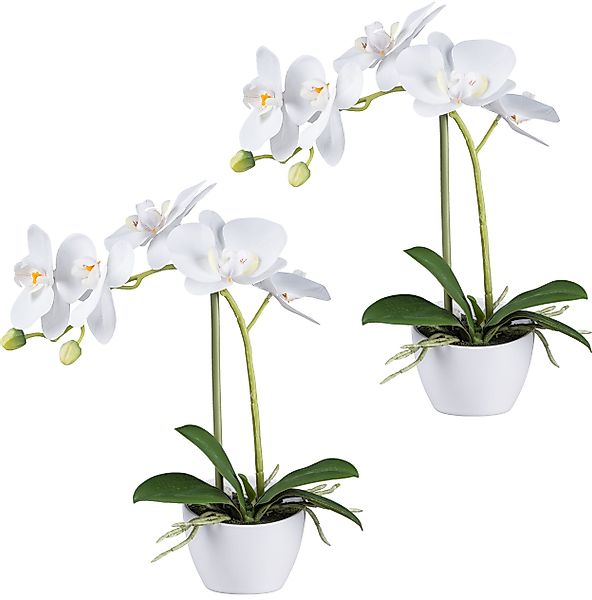 Kunstorchidee Orchidee Phalaenopsis, Creativ green, Höhe günstig online kaufen
