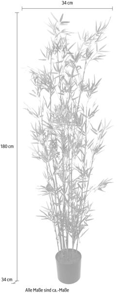 Kunstpflanze Bambus im Topf Bambus, I.GE.A., günstig online kaufen