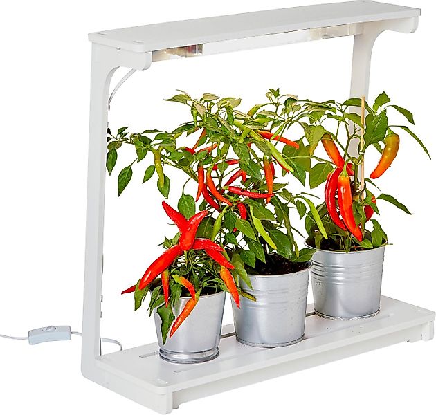 Northpoint Pflanzenlampe LED Pflanzenlampe Pflanzenleuchte Gewächslampe Pfl günstig online kaufen