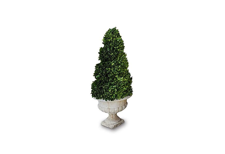 Kunstblume Deko-Baum Humbria grün/creme, Mirabeau, Höhe 75.0 cm günstig online kaufen