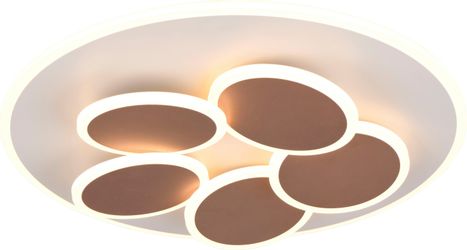 TRIO Leuchten LED Deckenleuchte MANDALA, LED günstig online kaufen