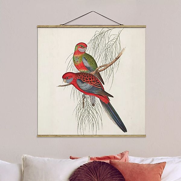 Stoffbild Tiere mit Posterleisten - Quadrat Tropische Papageien III günstig online kaufen