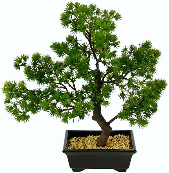 Kunstbonsai Bonsai, I.GE.A., Höhe 33 cm, in Bonsaischale aus Kunststoff günstig online kaufen