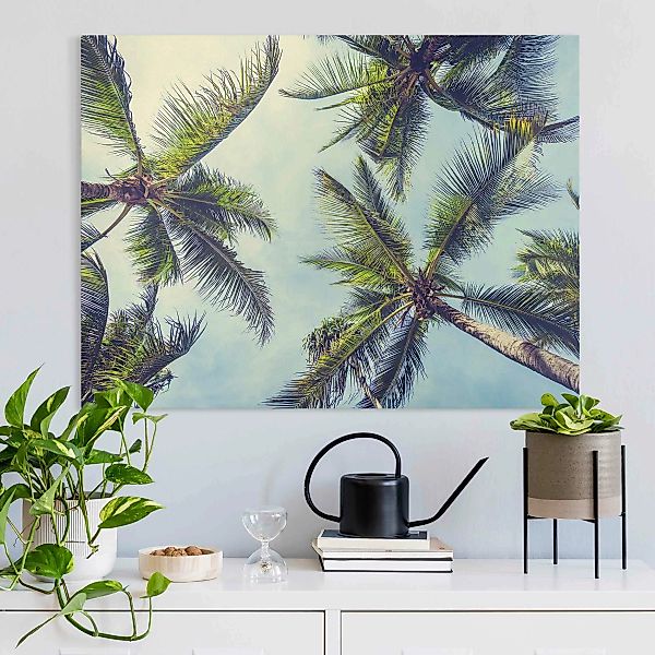 Leinwandbild Die Palmen günstig online kaufen