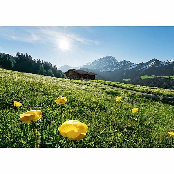 Komar Fototapete Alpenglück B/L: ca. 400x280 cm günstig online kaufen