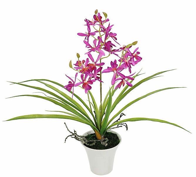 I.GE.A. Kunstorchidee "Künstliche Orchidee mit Topf" Dekoblume Kunstblume 4 günstig online kaufen