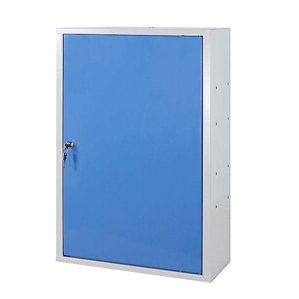 PROREGAL Werkzeugwandschrank mit Tür 8 Haken HxBxT 75 x 50 x 20 cm Lichtgra günstig online kaufen