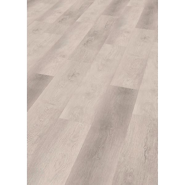 Click-Vinylboden SPC Asmara Eiche günstig online kaufen