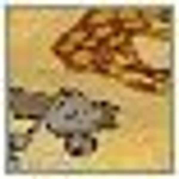 Dyckhoff Handtuch Set Affe, Walkfrottee (Set, 6-St), mit Tierbordüre, 2 Han günstig online kaufen