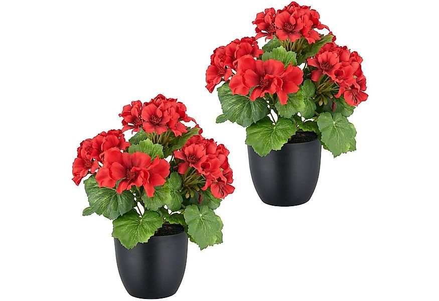 Kunstpflanze Geranie, Creativ green, Höhe 26 cm, in UV-beständiger Ausführu günstig online kaufen