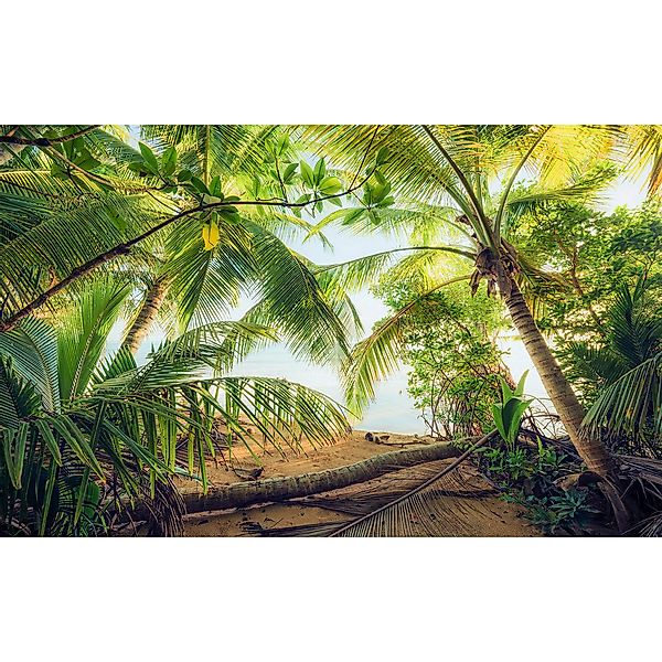 Sanders & Sanders Fototapete Landschaft Grün und Blau 450 x 280 cm 612656 günstig online kaufen