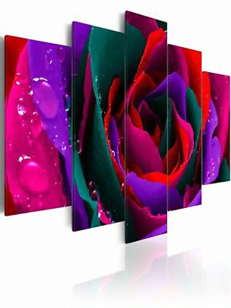 artgeist Wandbild Multicoloured rose mehrfarbig Gr. 200 x 100 günstig online kaufen