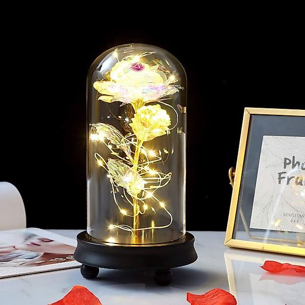 Kunstblume Ewige Rose im Glas Infinity günstig online kaufen