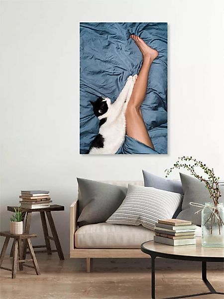 Poster / Leinwandbild - Cat & Leg günstig online kaufen