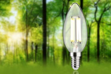Paulmann LED-Leuchtmittel Eco-Line Filament 230V LED günstig online kaufen