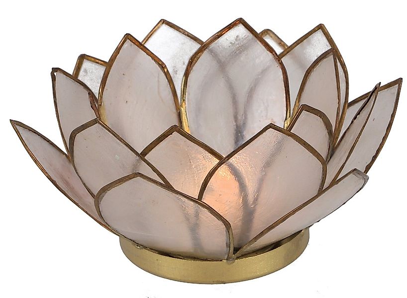 Guru-Shop Windlicht Lotus Teelicht Muschel 14*6 cm - weiß günstig online kaufen