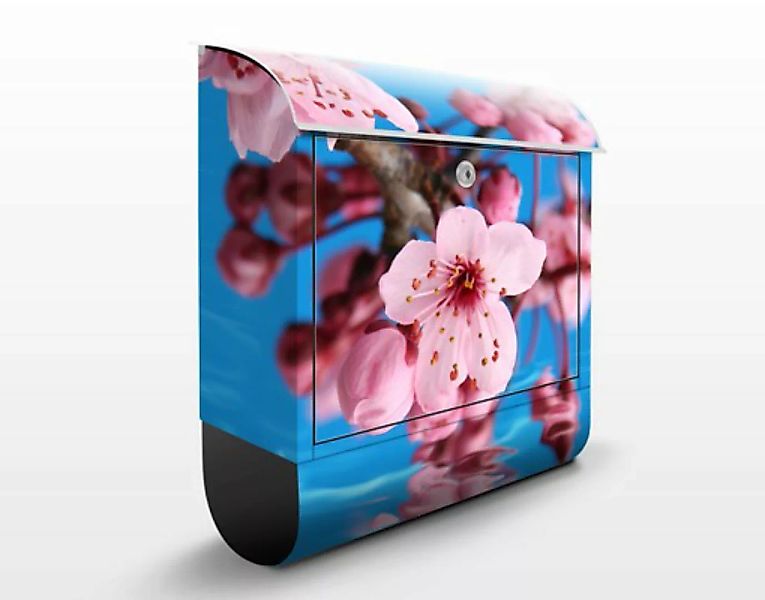 Briefkasten Blumen Kirschblüte günstig online kaufen