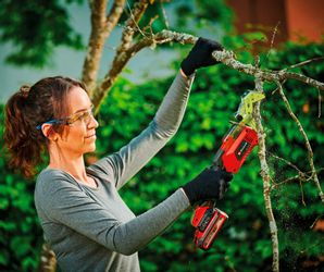 Einhell Baum- und Strauchschneider »GE-GS 18/150 Li-Solo« () 10 cm Schnittl günstig online kaufen