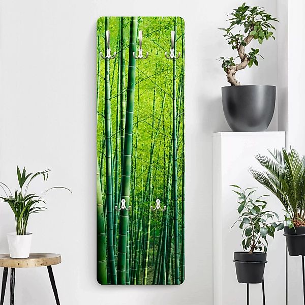 Wandgarderobe Holzpaneel Natur & Landschaft Bambuswald günstig online kaufen