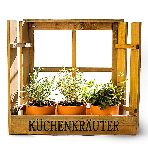 HTI-Line Kräutertopf Kräuterfenster Mina (1 St., günstig online kaufen
