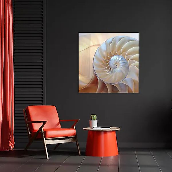 queence Leinwandbild »The Pearl« Wassertiere 1 Stk. tlg. mit sehr guten Sch günstig online kaufen