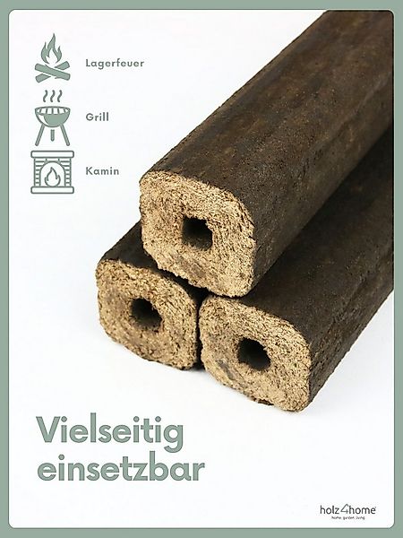 holz4home® Holzbriketts Pini Kay Eichenbriketts I 100% ohne Zusätze I Brike günstig online kaufen