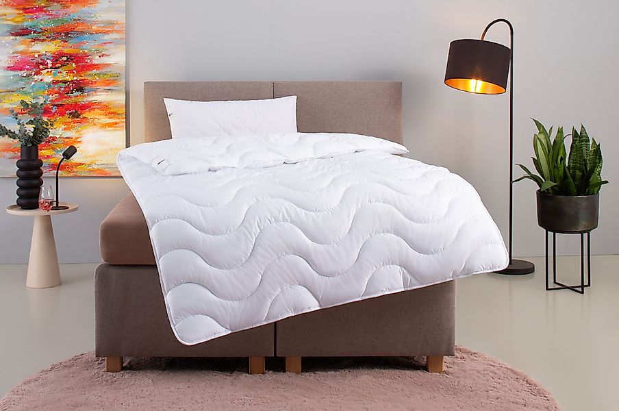 my home Microfaserbettdecke + Microfaserkissen Mailo, günstig online kaufen